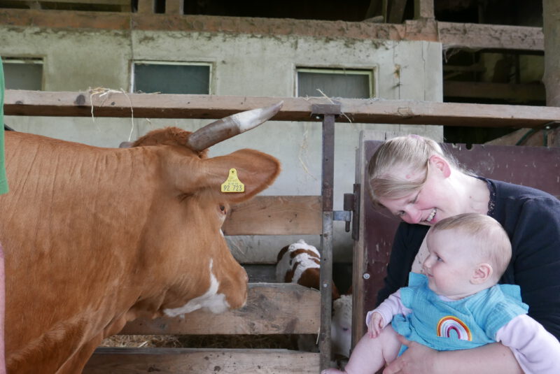 Karin Schmeh mit Tochter Wally bei Kuh und Kalb