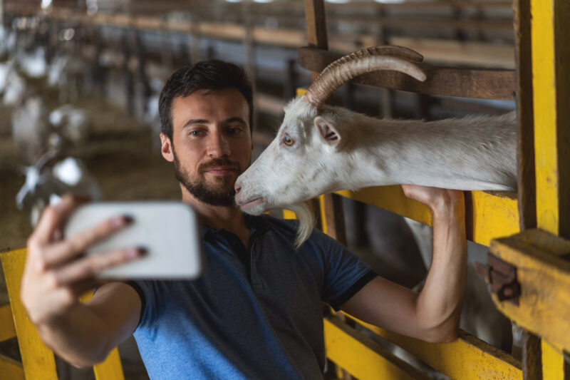 Landwirt macht Selfie mit einer Ziege